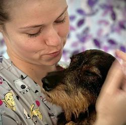 Hundesalon Dog Coature