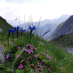 Hüttenzauber Tirol Rettensteinhütte