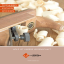 Folder Laserer