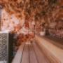 Das Luxus-Sauna-/Hamam-/Infrarotprogramm bei SISU-SAUNA.AT

www.sisu-sauna.at

info@sisu-sauna.at