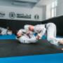 BJJ Toreando Pass