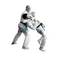Jiu-Jitsu
