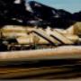 # 5