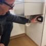 A-cimex e.U. Schädlingsbekämpfung & Taubenabwehr 4040