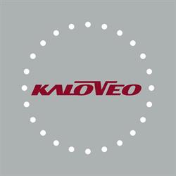 Used Ebike by Kaloveo