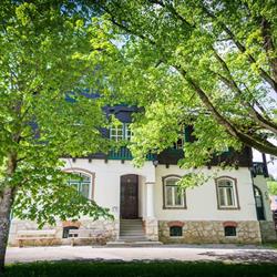 Villa Violetta