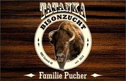 Tatanka Bisonzucht