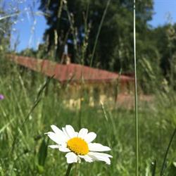 Klein Meran- Ort der Begegnung und Gemeinschaftspraxis im Wienerwald