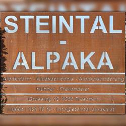 Steintal Alpaka