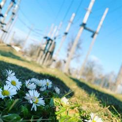 Sonnenland Seilgarten