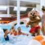 Allegria Resort Stegersbach