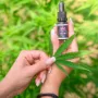 CBD Hanf Öle für Menschen und Tiere