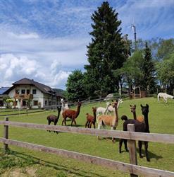 Lampaka-Ranch