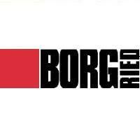 Borg Ried