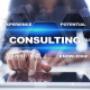 Beratung / Consulting