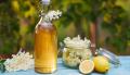 Holunder – Rezepte