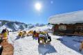 Skigebiet Almenwelt Lofer