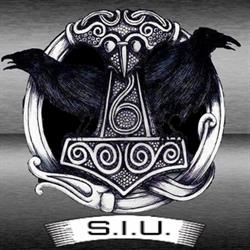 SIU-Team - Special Investigation Unit