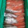Mayer Nino - Nino's Ländlefisch