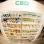 Bushdoctor GmbH - CBD Abteilung - In der CBD Abteilung findest du CBD Öle, CBD Kristalle, CBD Liquide und CBD Tropfen für Tiere. Bushdoctor GmbH - CBD Abteilung - In der CBD Abteilung findest du CBD Öle, CBD Kristalle, CBD Liquide und CBD Tropfen für Tiere.