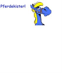 Pferdekisterl