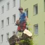 tree-monkey - Eric A. Descher