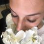 light volumen wimpern