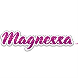 Magnessa Reinigungsservice KG