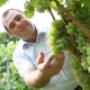 Weingut Pock