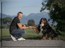 Alpha Hundetraining e.U.