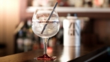 Gin