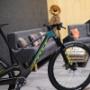 Scott Test Center BikeGargePlus