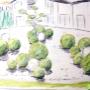 WUNDERGARTEN - GARTENGESTALTUNG e.U.