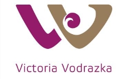 VV Vitalcheck
