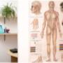 Massagefachinstitut - Aistleitner Marianne Massagefachinstitut - Aistleitner Marianne