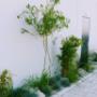 Gartengestaltung Akkas