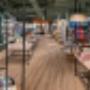Filiale