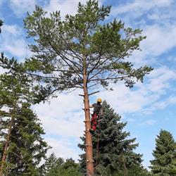 Die Gartenhilfe Mitterecker Bernhard