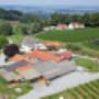 Windisch-Röhrer - Weinhof der Vielfalt KG, 8263 Großwilfersdorf Windisch-Röhrer - Weinhof der Vielfalt KG, 8263 Großwilfersdorf