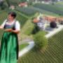 Windisch-Röhrer - Weinhof der Vielfalt KG, 8263 Großwilfersdorf Windisch-Röhrer - Weinhof der Vielfalt KG, 8263 Großwilfersdorf