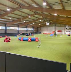 Die Hundesporthalle