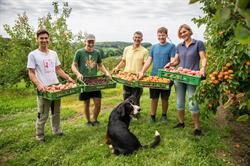 Familienobstbau Greimel