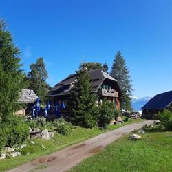 Alm hinterm Brunn