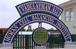 Human Cell Balancing institute