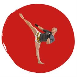 HIGH STRIKE - Martial Arts mit PS