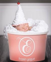 Emilys Frozen Yogurt