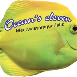 Ocean's Eleven Wien
