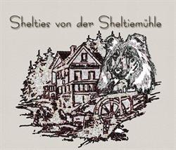Shelties und Welsh Corgi Pembrokes von der Sheltiemühle