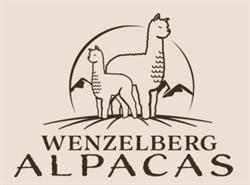 Wenzelberg-Alpacas