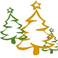 Christbäume und Tannenreisig Familie Grill